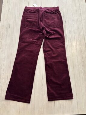 Ann Taylor size 10 Velvet-look Wide Leg Pants in Deep Wine